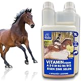 Pferde Vitamine I Mineralfutter Pferde Liquid I B Vitamine I Vitamin E Pferd I Vitamin b komplex I Vitamin b12 Selen Zink Pferd I Vitamin b1 b6 Pferd Immunsystem stärken Pferd Aufbaufutter 1L