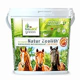 biocaregreen Natur Zeolith Pferd | 1kg, Garantierte Vermahlung auf 50 μm | Nahrungsergänzung für Pferde