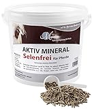 MIGOCKI AKTIV Mineral Selenfrei – 4 kg – Mineralfutter für Pferde – ohne Selen
